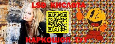 PSILOCYBIN Краснодар
