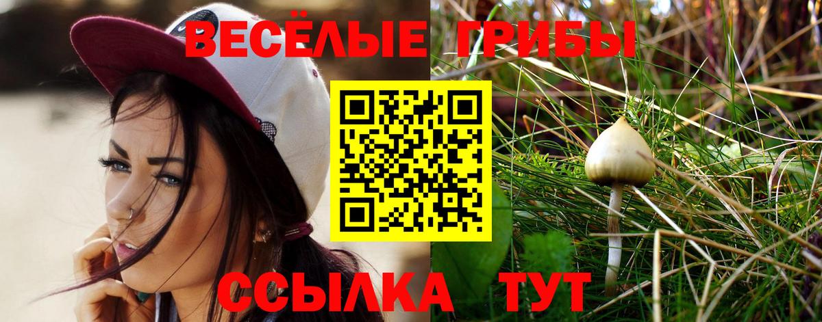 закладки  Галлюциногенные грибы ЛСД  Заводоуковск  Вход с VPN  Псилоцибиновые грибы Psilocybine cubensis 