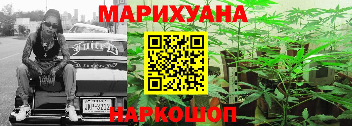 Бошки марихуана MAZAR Заводоуковск